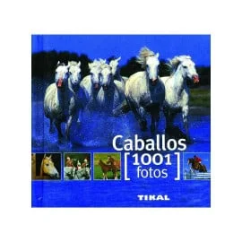 1.001 Fotos de Caballos