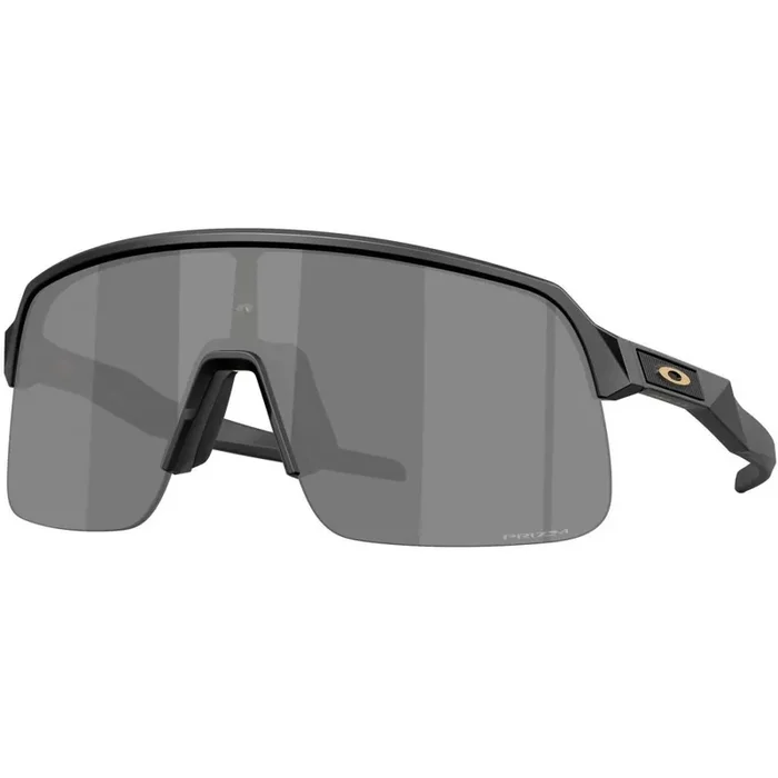 Acheter Direct Oakley Sutro Lite S, PRIZM™, Matte Black