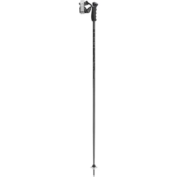 Acheter En Ligne Bâtons de ski Leki DETECT S Dark Anthracite/Black