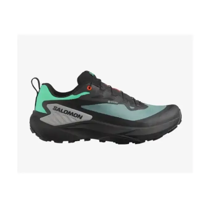 Artisanat Chaussures Salomon GENESIS GTX