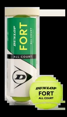 Balle de Tennis Dunlop Fort All Court TS 3-Tin 2025
