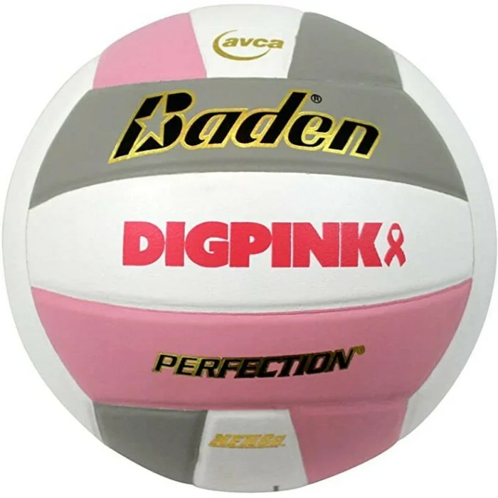 Ballon de volleyball Baden Sports Perfection [Taille  5]