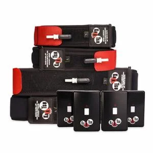 Bandes B1