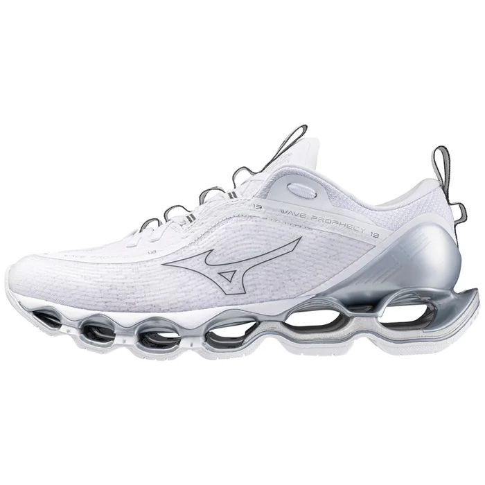 Baskets Mizuno Wave Prophecy [Taille 37]