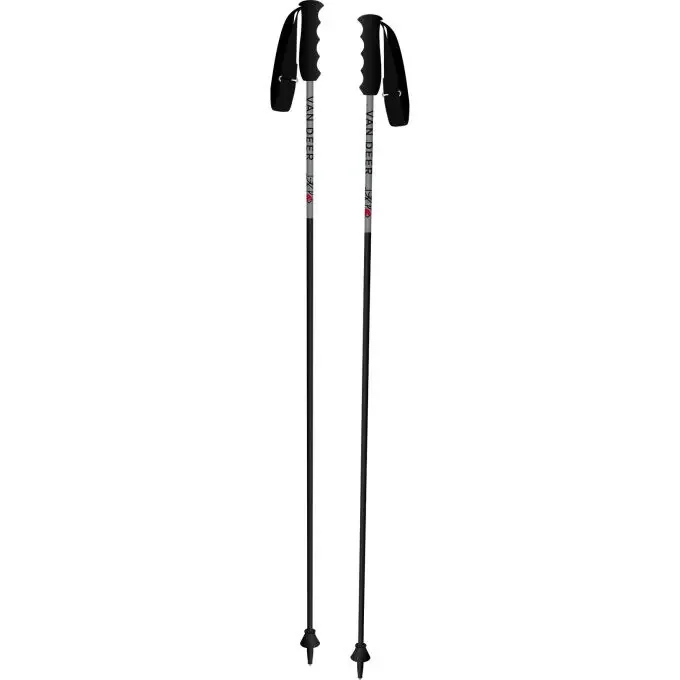 Bâtons de ski Van Deer RACE CARBON Promotion Saisonnière