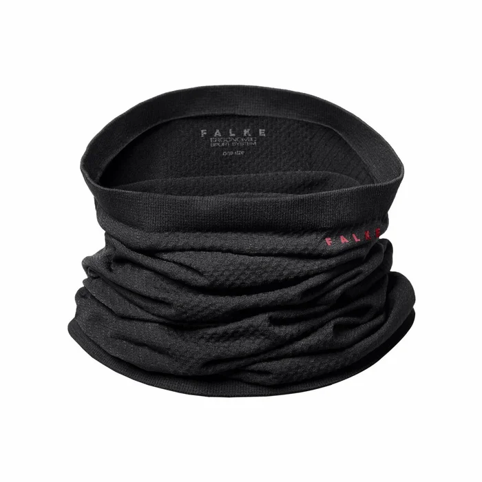 Cache-cou Falke