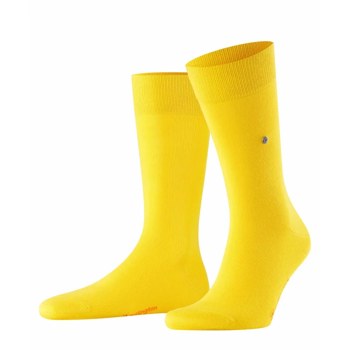 Chaussettes Burlington Lord [Taille 40/46]