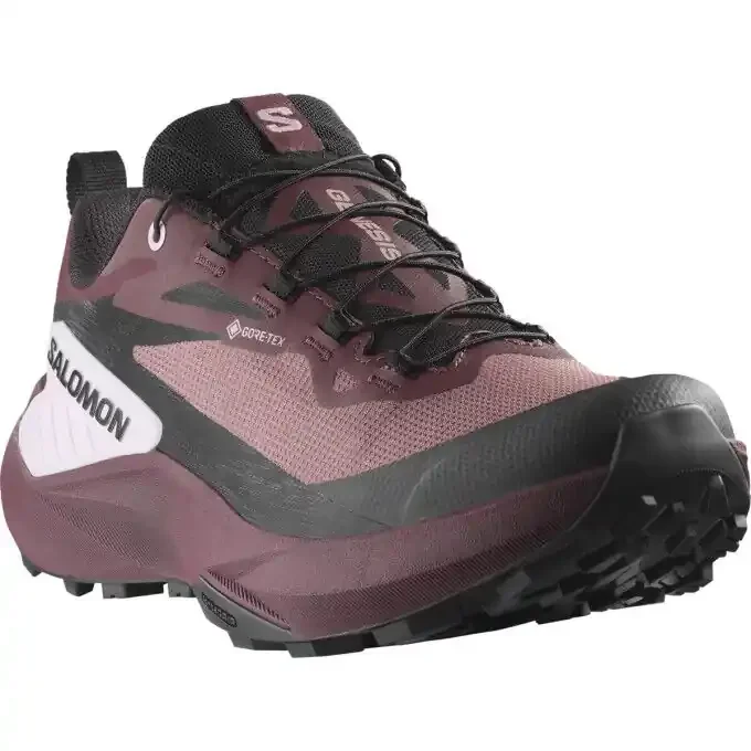 Chaussure Salomon GENESIS GTX Promotion