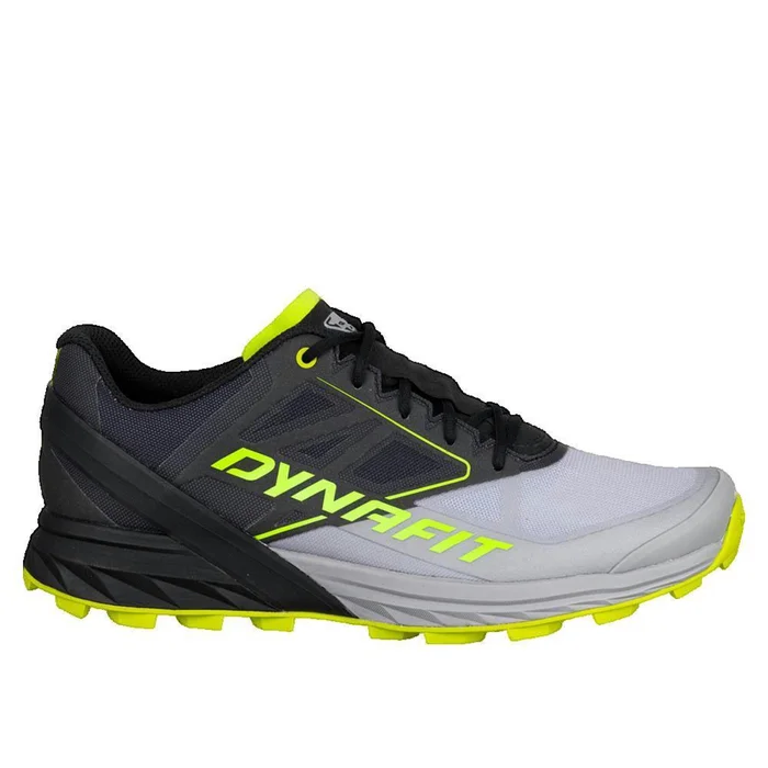 Chaussures de trail Dynafit Alpine [Taille 42]