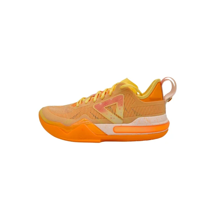 Chaussures indoor Peak Andrew Wiggins 1 [Taille 40]