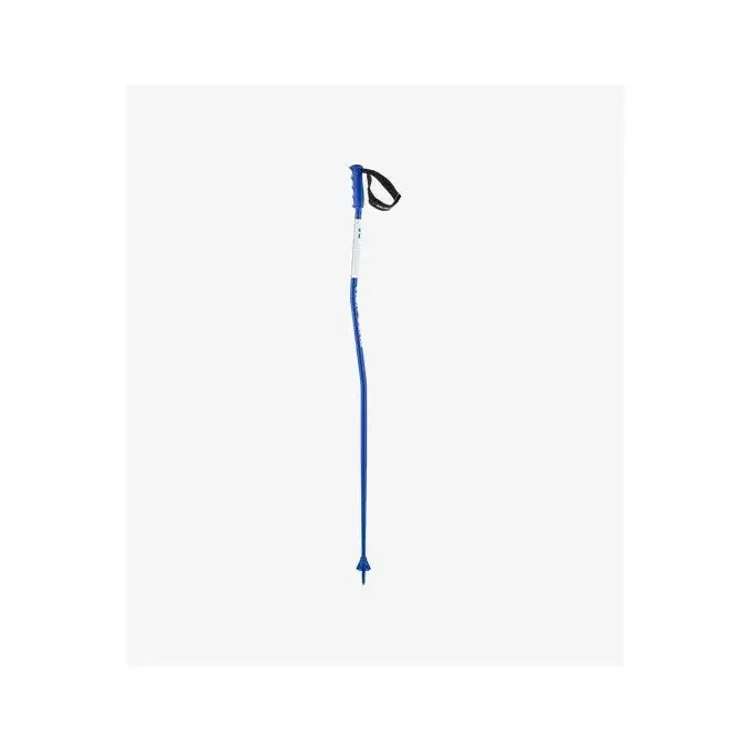 Édition Limitée Bâtons de ski Salomon S/RACE GS Blue