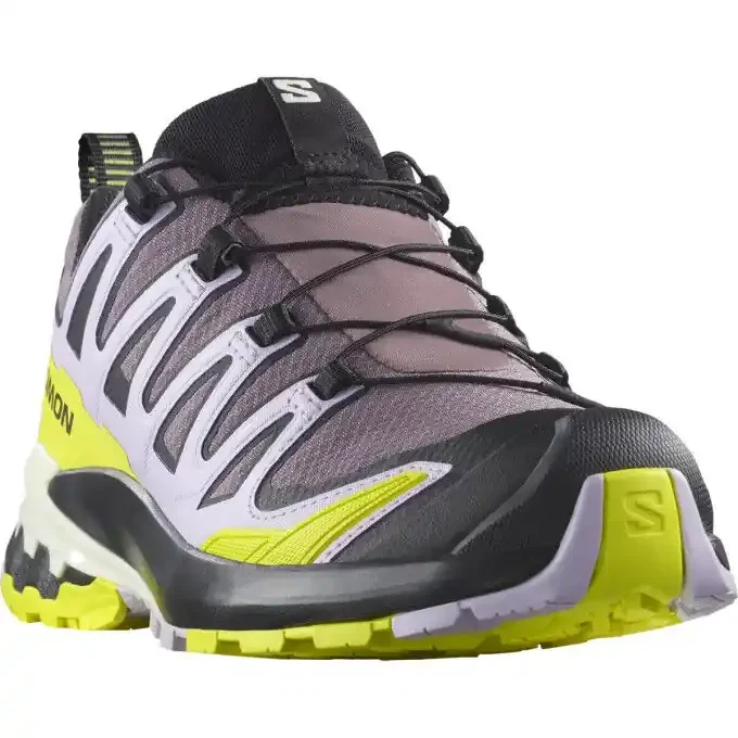 Exclusif Chaussure Salomon de trail running XA PRO 3D V9 GTX