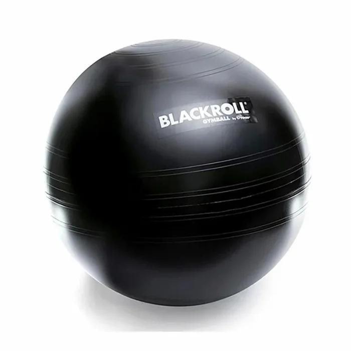 Gym ball Blackroll 65 [Taille 65 cm]