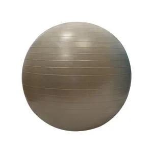 Gymball 55cm