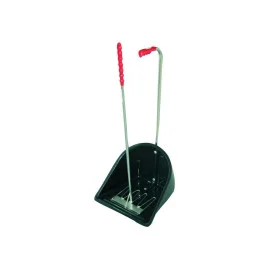 Juego Recogedor con Rastrillo Ajustable