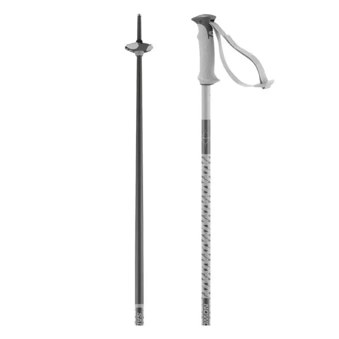 Meilleur Prix Bâtons SALOMON Polar – Grey Violet