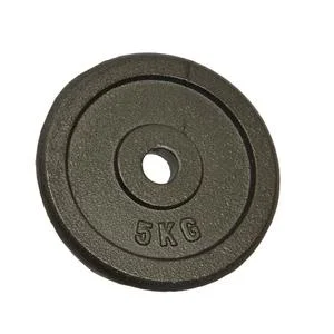 Poids disque en fonte 5 kgs
