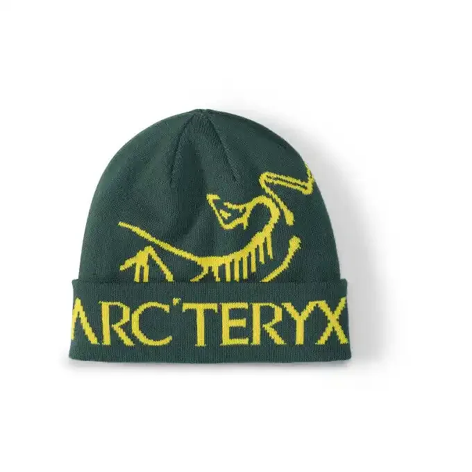Prix Bas Bonnet Arc’teryx BIRD WORD Pytheas/Lampyre