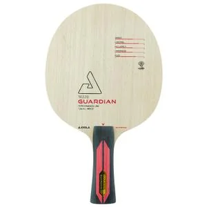Raquette de tennis de table Tezzo Guardian Fl