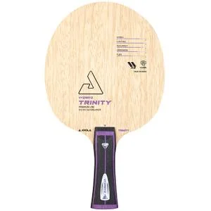 Raquette de tennis de table Vyzaryz trinity FL