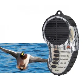 Reproductor Educativo Digital para Patos