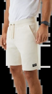 Short de Sport Björn Borg Homme Centre Shorts Birch