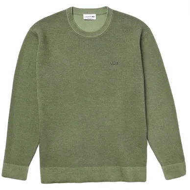 Sweat Lacoste Men AH7348 Aucuba Thyme