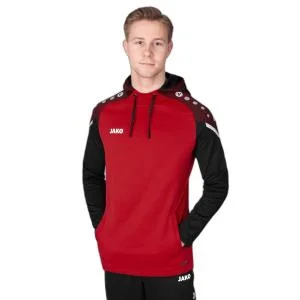 Sweatshirt à capuche Performance